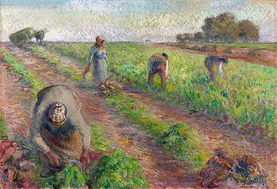 The Beet Harvest, 1881 | Pissarro | Gemälde Reproduktion