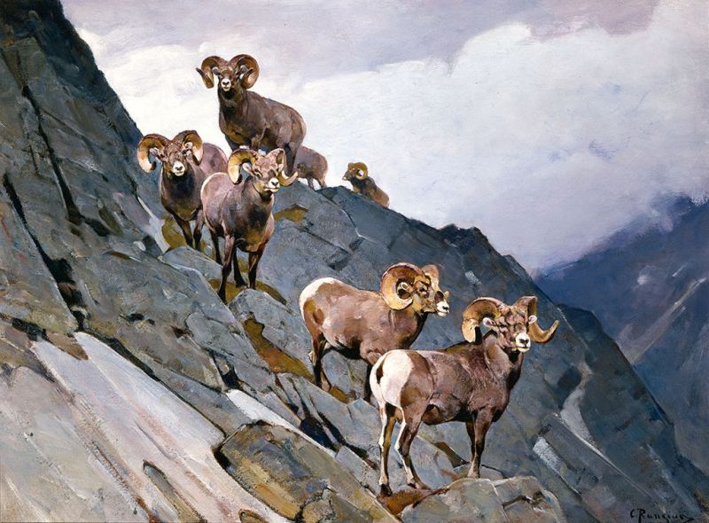 Carl Rungius | In the Clouds, c.1935 In the Clouds, c.1935 | Carl Rungius