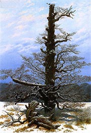 Oak Tree in Snow | Caspar David Friedrich | Painting Reproduction