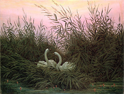 Swans in the Reeds, c.1820 | Caspar David Friedrich | Gemälde Reproduktion