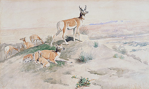 Antelope, 1894 | Charles Marion Russell | Painting Reproduction