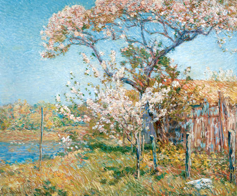Apfelbäume in Blüte, Old Lyme, 1904 von Hassam | Gemälde-Reproduktion