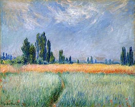 Wheat Field, Corn, 1881 by Claude Monet | Painting Reproduction