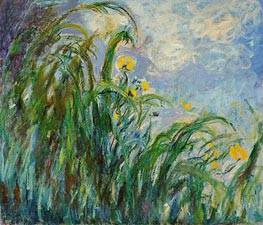 The Yellow Iris | Claude Monet | Painting Reproduction
