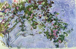 The Roses, c.1925/26 von Claude Monet | Gemälde-Reproduktion