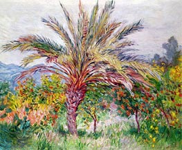 Palm Tree at Bordighera, c.1884 von Claude Monet | Gemälde-Reproduktion