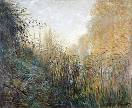 Bulrush (Juncus) | Claude Monet | Painting Reproduction