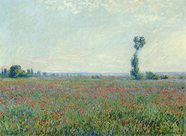 Mohnfeld, 1926 von Monet | Gemälde-Reproduktion