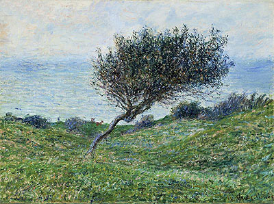 Küste bei Trouville, 1881 von Claude Monet | Gemälde-Reproduktion