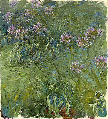Agapanthus, c.1914/26 | Claude Monet