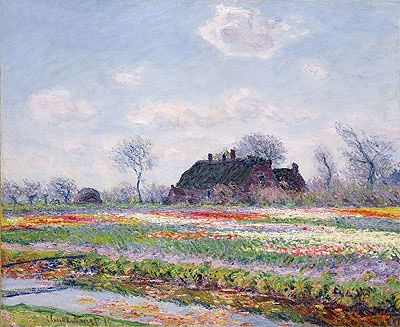 Tulpenfelder in Sassenheim bei Leiden | Claude Monet | Gemälde Reproduktion