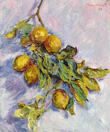 Zitronen auf einem Zweig, 1884 von Claude Monet | Gemälde-Reproduktion