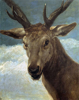 Head of a Buck, c.1634 | Velazquez | Gemälde Reproduktion