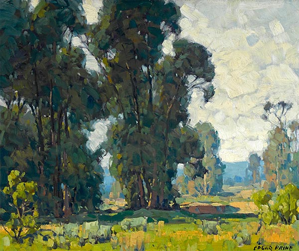 El Toro Eucalyptus, n.d. by Edgar Alwin Payne | Painting Reproduction