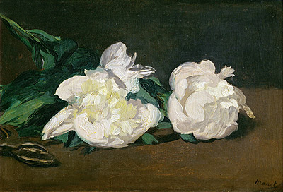 Branch of White Peonies and Secateurs, 1864 | Manet | Painting Reproduction