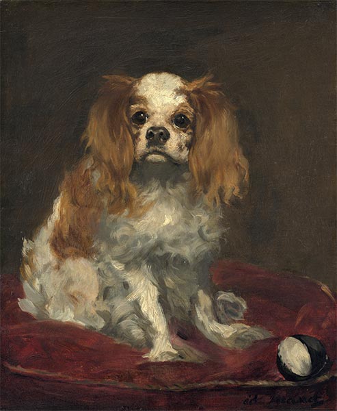 A King Charles Spaniel, c.1866 | Manet | Painting Reproduction