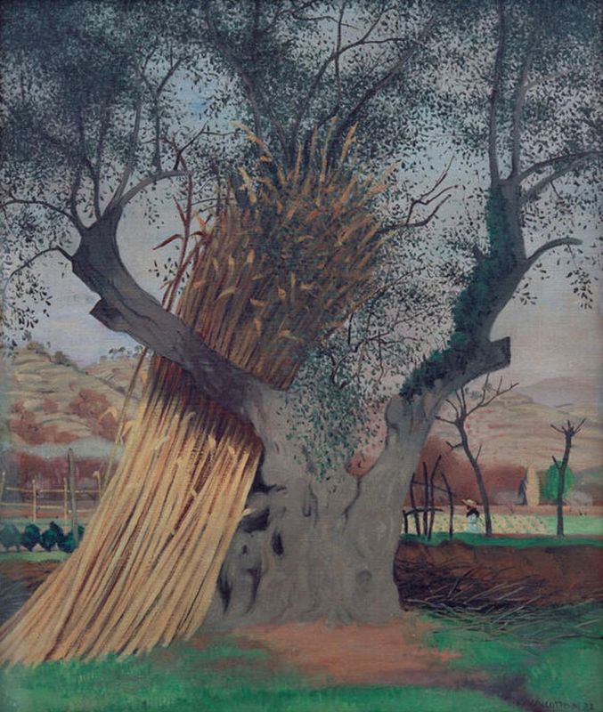 Der alte Olivenbaum, 1922 | Félix Vallotton