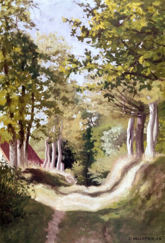 Unterholz, 1904 | Félix Vallotton