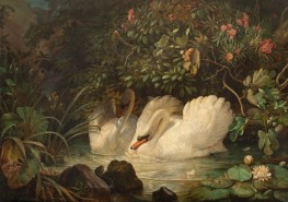 Swans Defending Their Nest Against a Snake | Friedrich Nerly | Painting Reproduction
