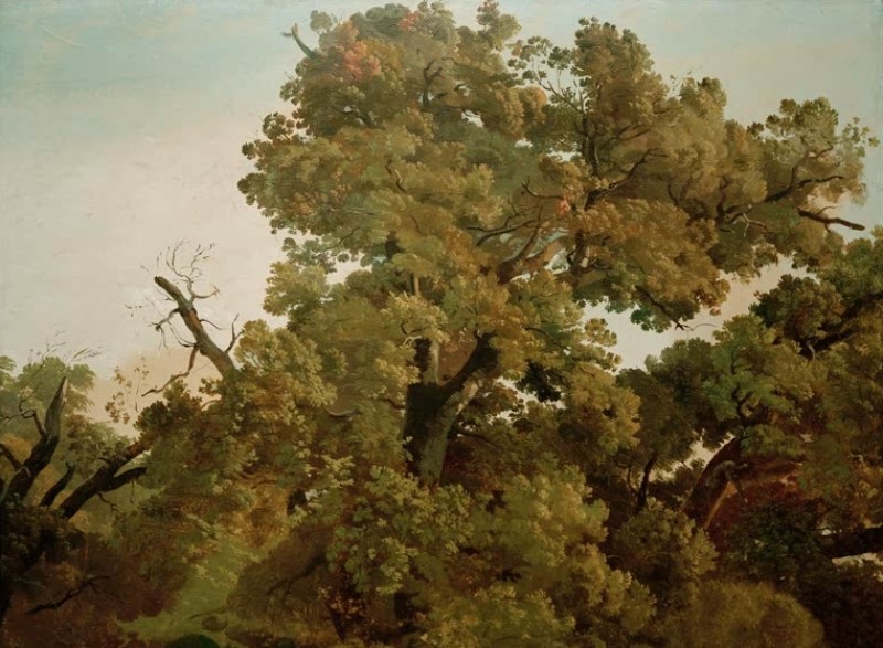 Friedrich Nerly | Oak, c.1829/30 Oak, c.1829/30 | Friedrich Nerly