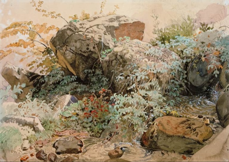 Rock Boulders Overgrown with Shrubs at a Mountain Brook, c.1829 | Friedrich Nerly