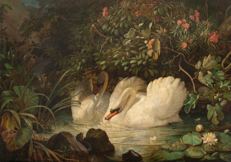 Friedrich Nerly | Swans Defending Their Nest Against a Snake, 1859-1860 Swans Defending Their Nest Against a Snake, 1859-1860 | Friedrich Nerly