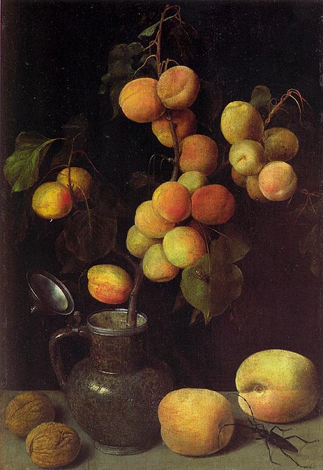 Apricot Branch, c.1630 | Georg Flegel | Painting Reproduction