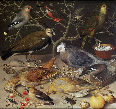 Still Life of Birds and Insects, 1637 | Georg Flegel | Gemälde Reproduktion