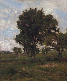 The Elm Tree, c.1880 by George Inness | Painting Reproduction