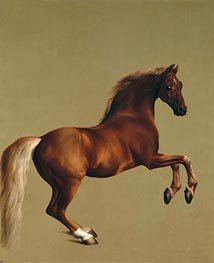 Whistlejacket, 1762 by George Stubbs | Painting Reproduction