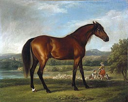 Hollyhock, c.1765 by George Stubbs | Painting Reproduction