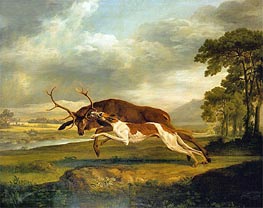 Hound Coursing a Stag, c.1762 by George Stubbs | Painting Reproduction