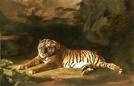 Portrait of the Royal Tiger, c.1770 von George Stubbs | Gemälde-Reproduktion