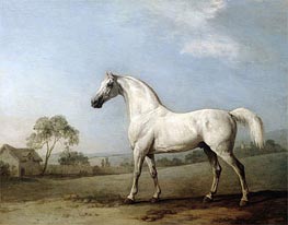 Mambrino, 1779 von George Stubbs | Gemälde-Reproduktion