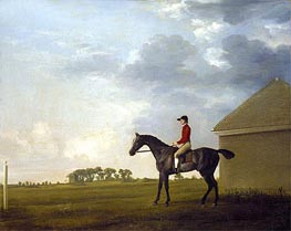 Gimcrack, with John Pratt up, on Newmarket Heath, c.1765 by George Stubbs | Painting Reproduction