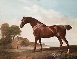 A Chestnut Thoroughbred before a Barn in an Open Landscape, c.1762/68 by George Stubbs | Painting Reproduction