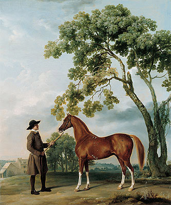 Lord Grosvenor's Arabian with a Groom, c.1765 by George Stubbs | Painting Reproduction