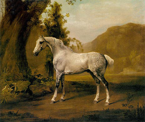 A Grey Stallion In a Landscape, c.1765 by George Stubbs | Painting Reproduction