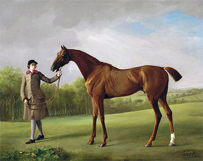 Lustre, held by a Groom, c.1760/62 | George Stubbs | Painting Reproduction