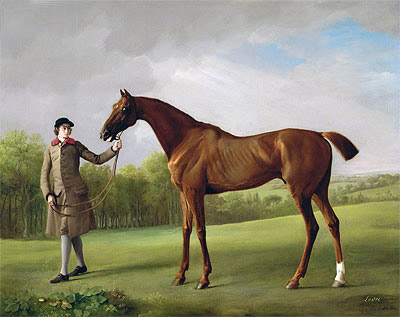 Lustre, held by a Groom, c.1760/62 by George Stubbs | Painting Reproduction