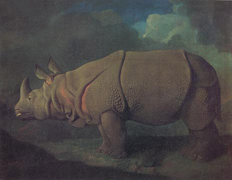 Rhinoceros, c.1790/91 by George Stubbs | Painting Reproduction