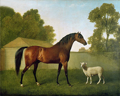 'Dungannon', the property of Colonel O'Kelly, 1793 by George Stubbs | Painting Reproduction