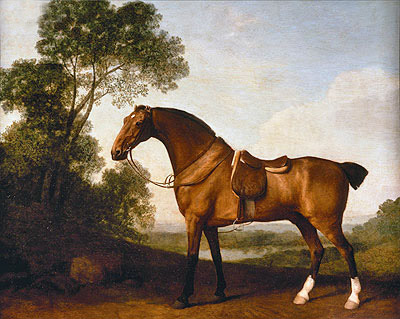 A Saddled Bay Hunter, 1786 by George Stubbs | Painting Reproduction