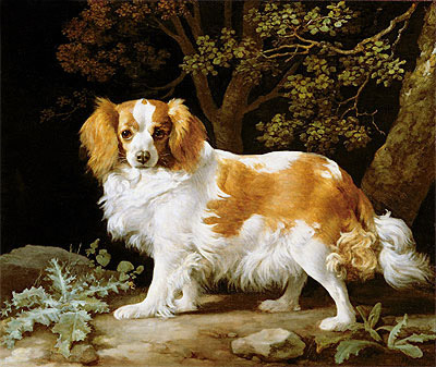 A Liver and White King Charles Spaniel in a Wooded Landscape, 1776 | George Stubbs | Gemälde Reproduktion