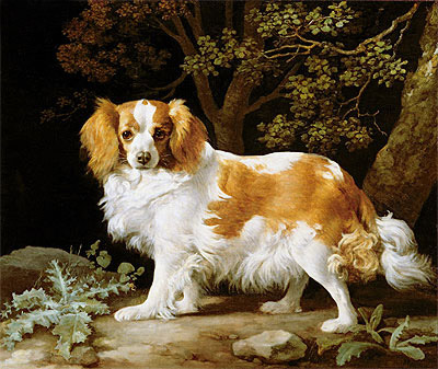 A Liver and White King Charles Spaniel in a ..., 1776 by George Stubbs | Painting Reproduction