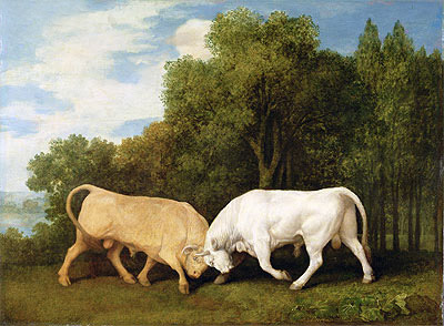 Bulls Fighting, 1786 by George Stubbs | Painting Reproduction