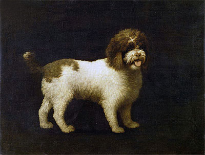 A Water Spaniel, 1769 | George Stubbs | Painting Reproduction