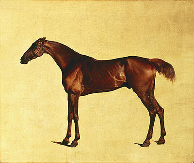 Rufus (Pangloss), c.1762/65 | George Stubbs | Painting Reproduction