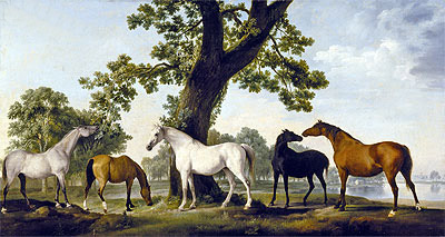 Fünf Zuchtstuten | George Stubbs | Gemälde Reproduktion