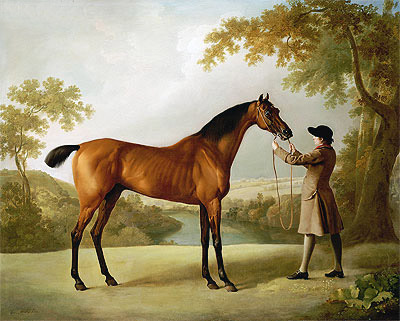 Tristram Shandy, ein braunes Rennpferd, gehalten von einem Stallburschen in einer weiten Landschaft | George Stubbs | Gemälde Reproduktion